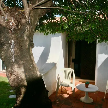 Jacaranda - 550m From The - Free Wifi - By Bedzy Willa *