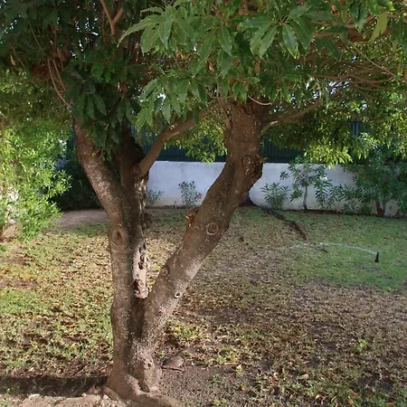 Willa Jacaranda - 550m From The - Free Wifi - By Bedzy Albufeira
