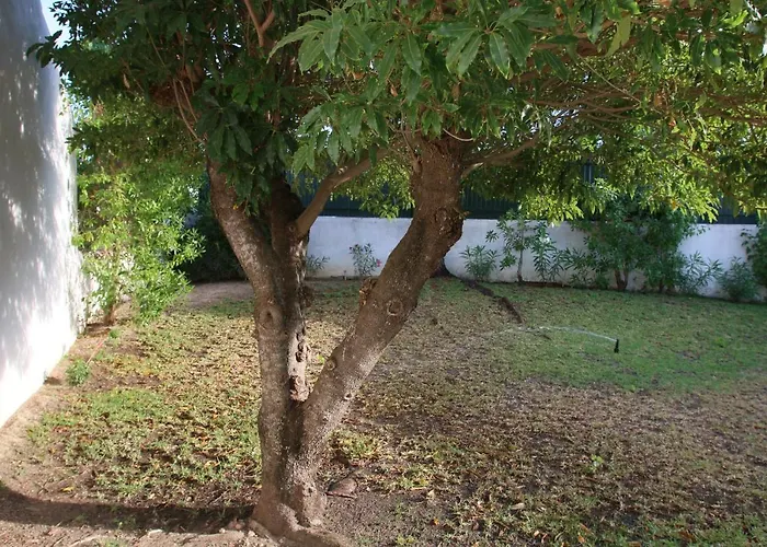 וילה Jacaranda - 550m From The - Free Wifi - By Bedzy אלבופיירה